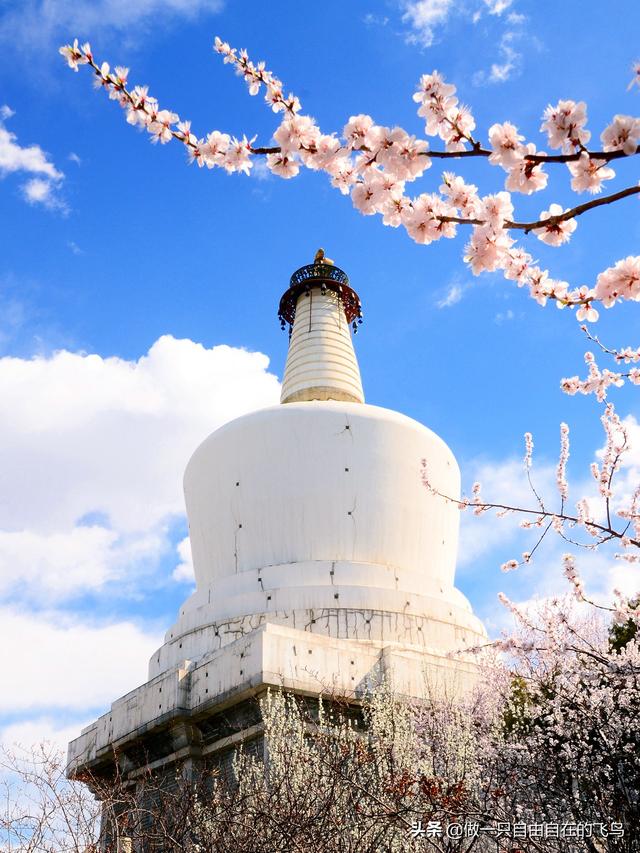 北海公园景点介绍，北海公园旅游攻略（北京周末去哪儿——北海公园）