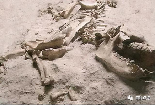 日本投降76周年，日本投降76周年历史回顾（日本投降条款初稿首次曝光）