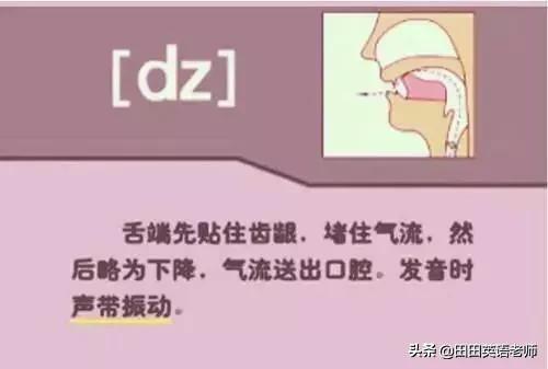 英语音标怎么学，初学英语者必看如何学习国际音标（资深老教师说：音标就该这样学）