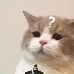 猫可以喝椰奶吗，椰子无糖酸奶猫能吃吗（你应该知道猫和牛奶的这些历史）