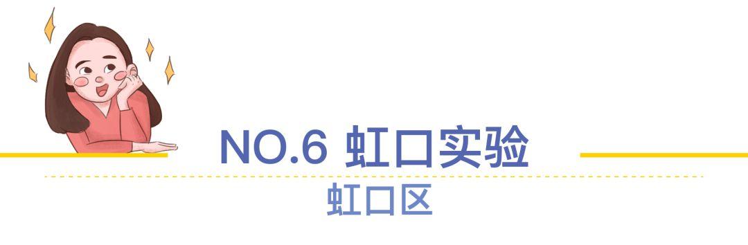 上海十大最难进的小学，上海菜小的逆袭