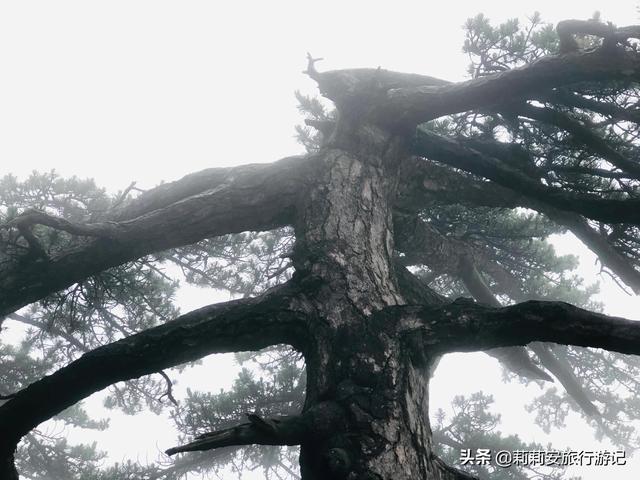 徒步南迦巴瓦峰最佳观景台，雾中徒步薄刀峰