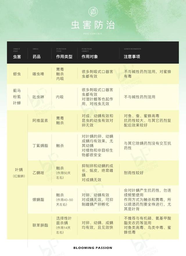 害虫的危害和防治方法，防治蚜虫、粉虱、飞虱最经典的药剂