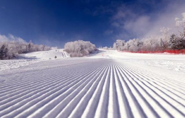 国内适合初学者滑雪的滑雪场，假期嗨起来