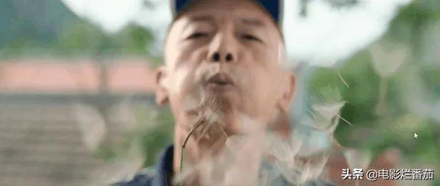 天上掉下个UFO，以我和我的家乡为题800字作文（3米高外星生物在后院溜达）