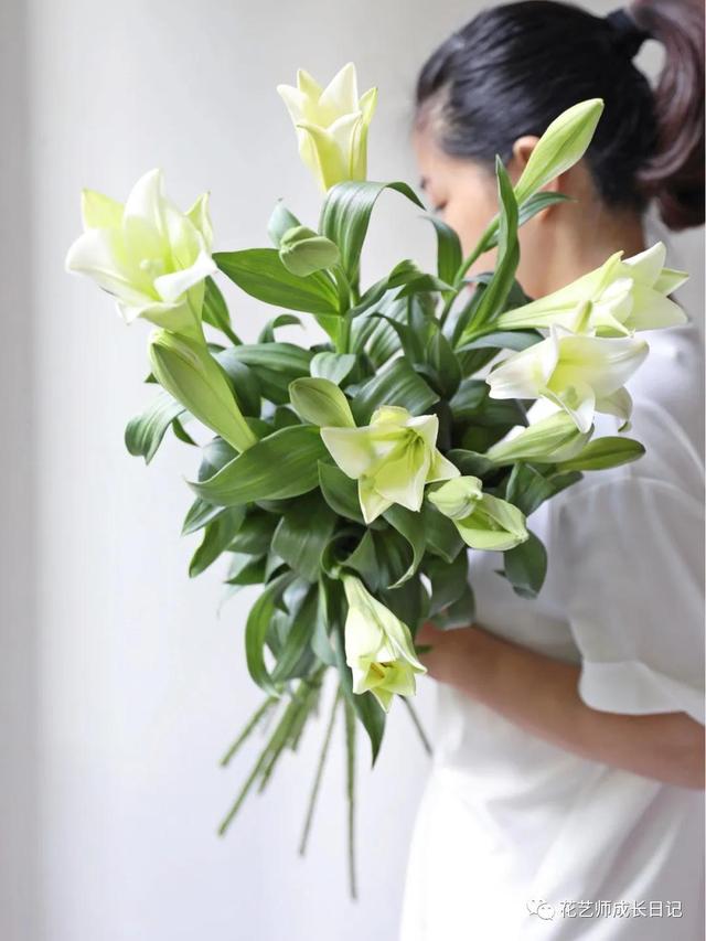 好看的重瓣百合，阳台养重瓣百合花