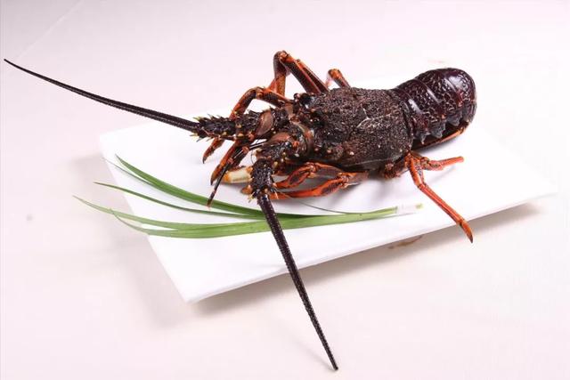 小龙虾两种英文，海鲜类英文词汇