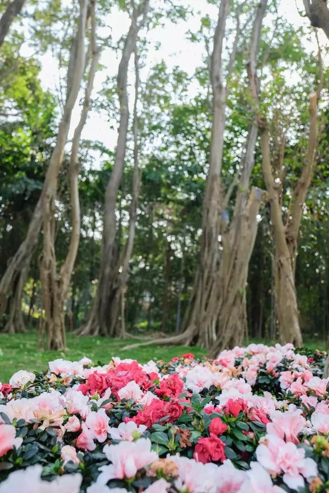 深圳世界之窗好玩吗，深圳世界之窗让你一天游遍全世界