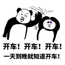 江直树很会玩，江直树竟然是个老司机