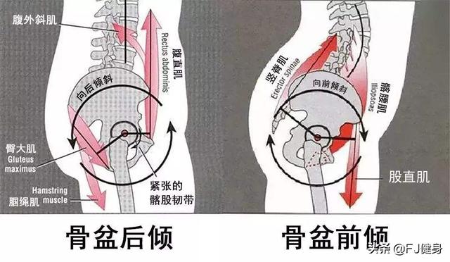 平板支撑世界纪录，官方最新平板支撑世界纪录