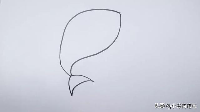 大鲨鱼简笔画简单又好看，海里最凶猛的大白鲨绘画步骤