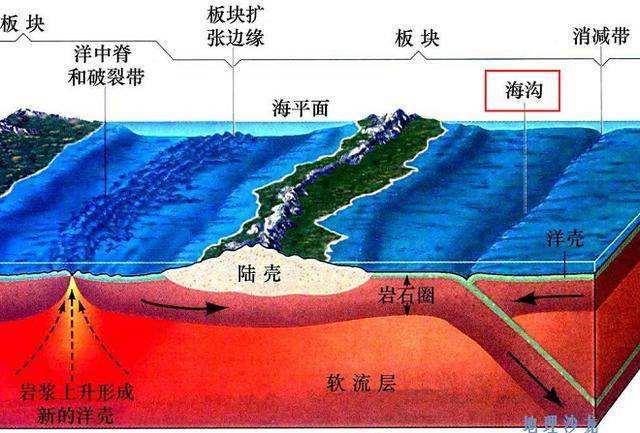 全世界最神秘的海沟，人类捕获海底最深鱼类
