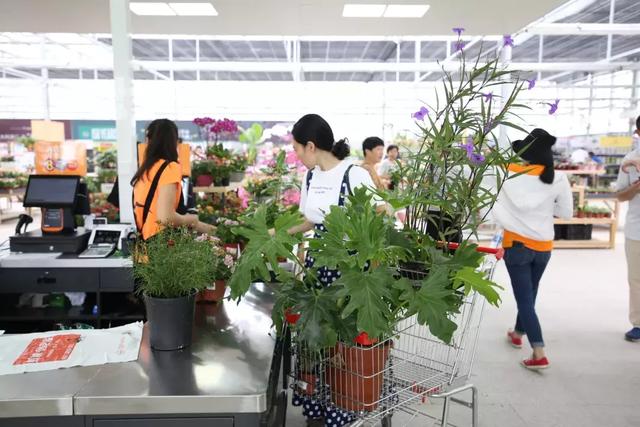 园艺批发市场，这个园艺市场本周末放大招