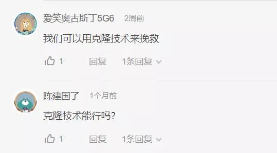 吸血的动物有哪些，最凶狠的十种吸血动物