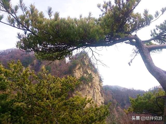 观音山森林公园，观音山国家森林公园旅游官网（广东观音山打造民营国家级森林公园样本）