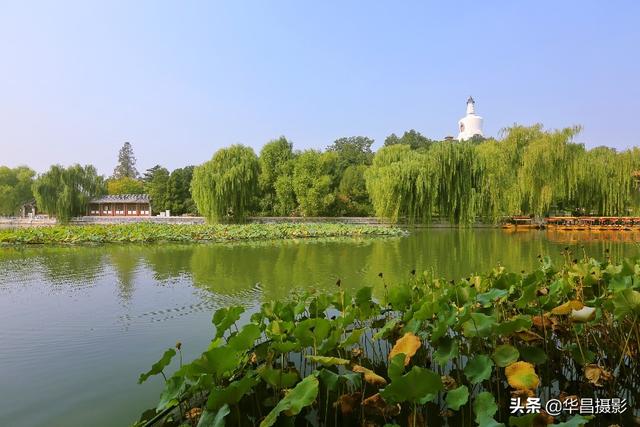 北海市北京路长青公园，北海交警：活用“加减乘除”法