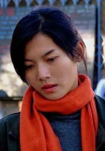 王茜主演的电视剧，精选张嘉译六部经典电视剧