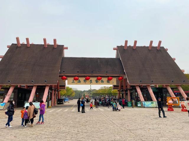 上海野生动物园攻略一日游，上海野生动物园的出游指南