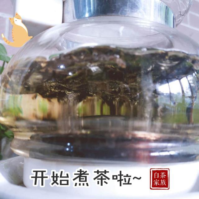 白茶适合什么季节喝，白茶适合哪些季节喝