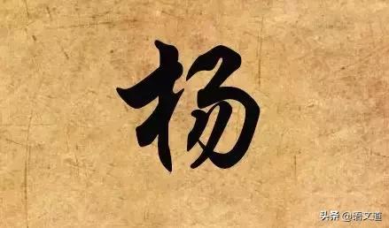 百家姓林排第几，福建省姓氏最新排名