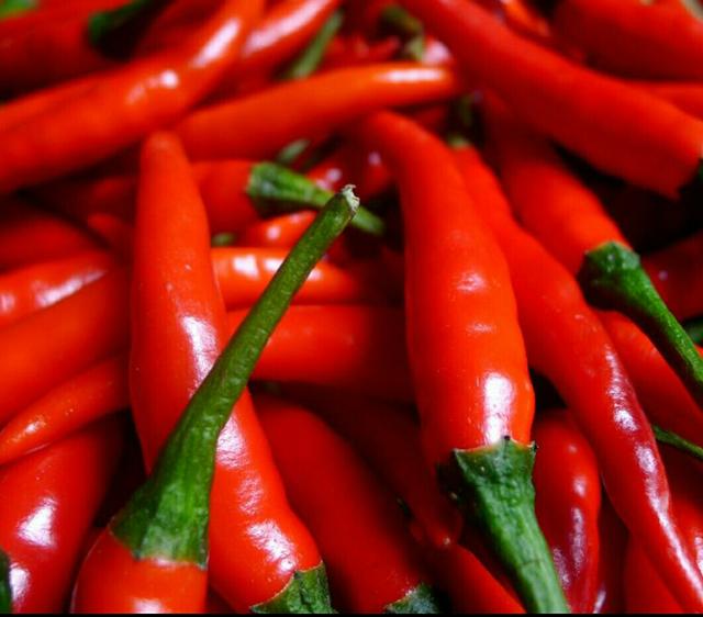 试菜技术大全，辣子百种争斗艳