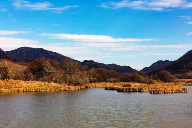 神农架必去5个景点，神农架必游8大景点（这份旅游攻略请收藏）