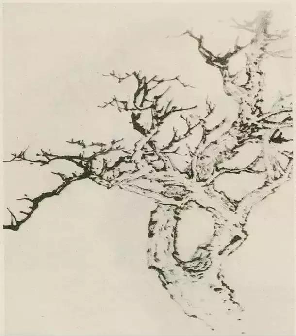 树怎么画简单又好看，如何画树简单又漂亮（水彩唯美风景画，手把手教你画）