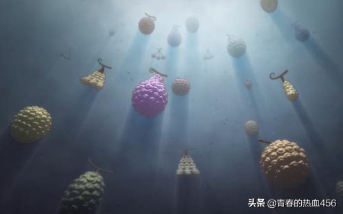 海贼王五大自然系果实排名，最强5颗自然系恶魔果实