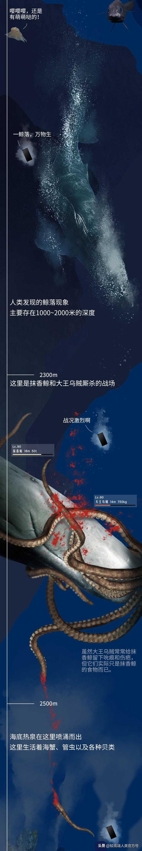 深海探秘16种奇特生物你见过几种，潜入海底一万米