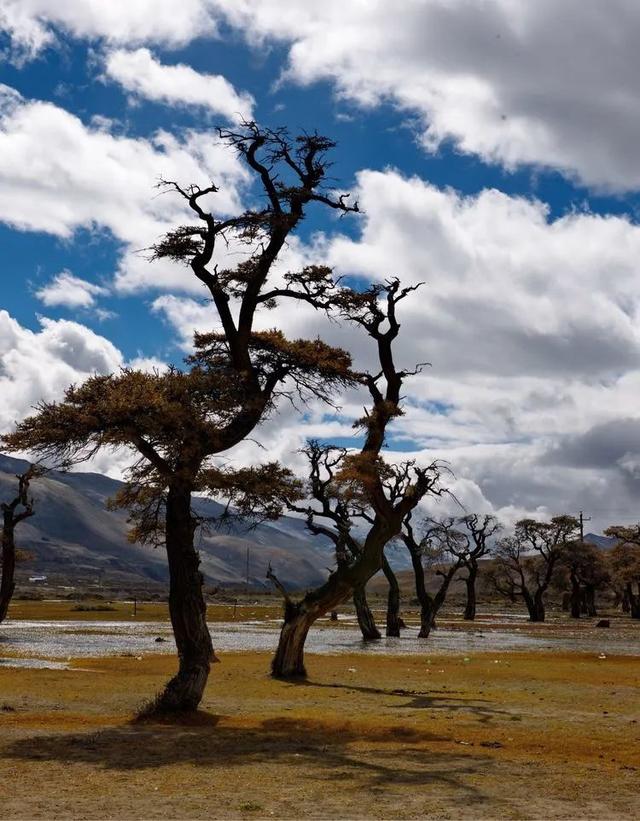 山南旅游景点大全，山南旅游最美景点