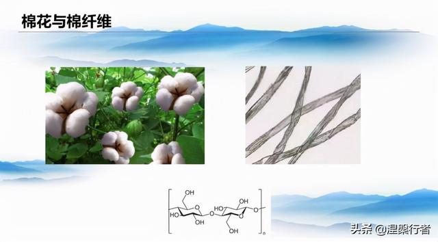 五种常用的塑料及其应用，看懂塑料的发展史