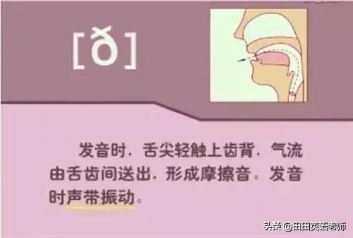 英语音标怎么学，初学英语者必看如何学习国际音标（资深老教师说：音标就该这样学）