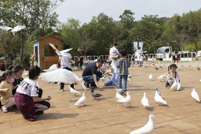 金坛茅山景点介绍，金坛茅山人气爆棚