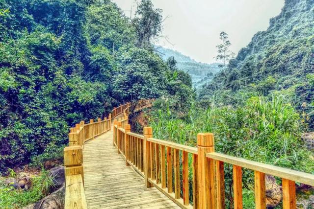 崇左旅游景点大全，崇左市区旅游必去景点有哪些（这份“特种兵式旅游”攻略你还不快收下）