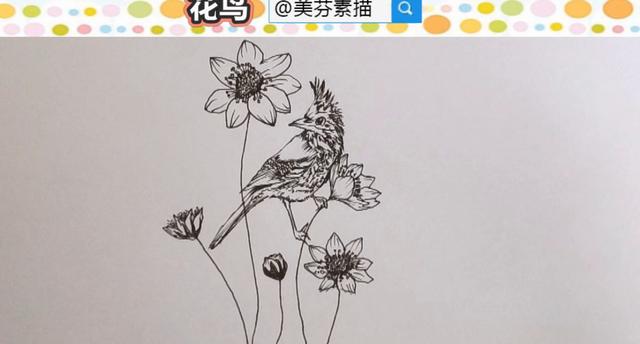 初学者风景速写100张简单，新手如何快速学会画速写