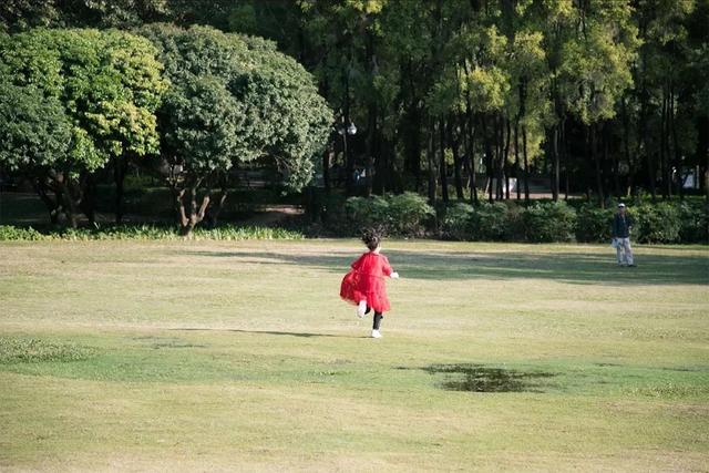 深圳游玩攻略必去的地方免费，7个遛娃好去处全免费