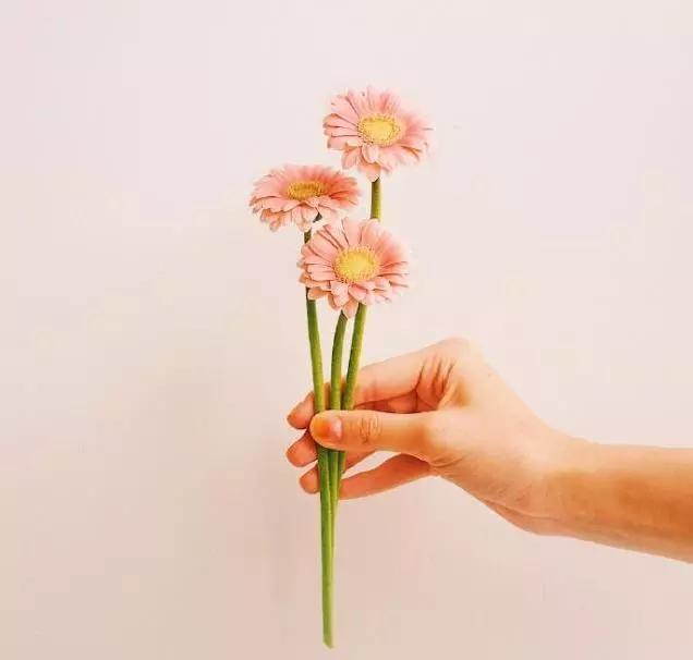 最安慰人的一句话，安慰人的暖心句子简短