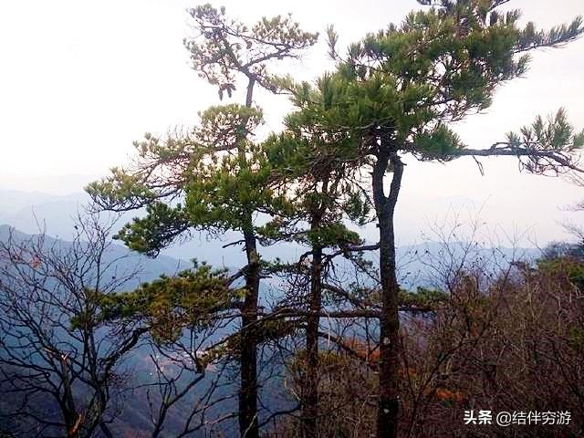 观音山森林公园，观音山国家森林公园旅游官网（广东观音山打造民营国家级森林公园样本）