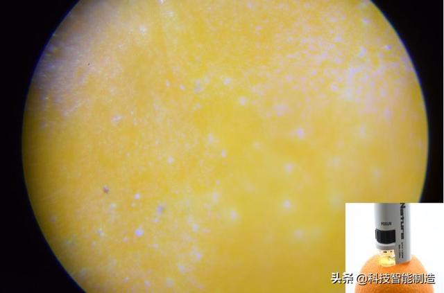 儿童科学探索显微镜，启发孩子科学探索思维