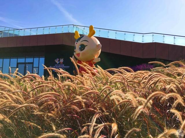 郑州周边免费景点，郑州最近免费旅游景点大全（不出郑州的8个赏花遛娃地）