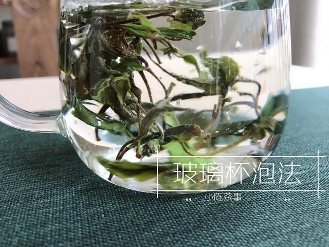 白茶如何冲泡最好，这三种经典手法