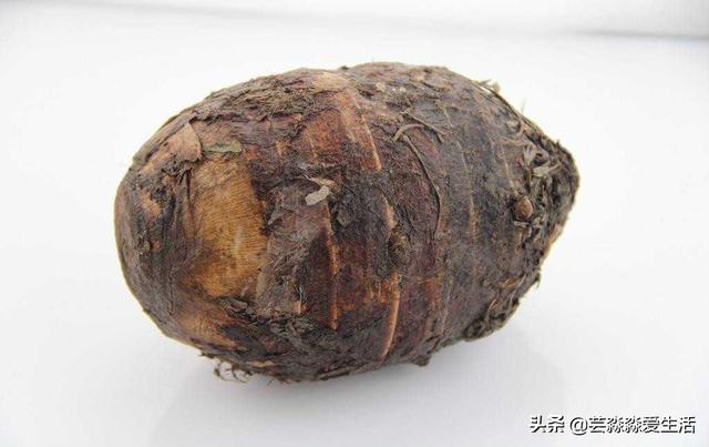 吃广西荔浦芋头扣肉，广西的十大经典名菜之桂林荔浦芋扣肉