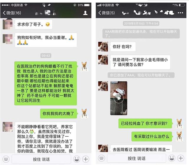细小犬瘟可以自己治疗吗，1500元不保证治好。DIY在家治细小