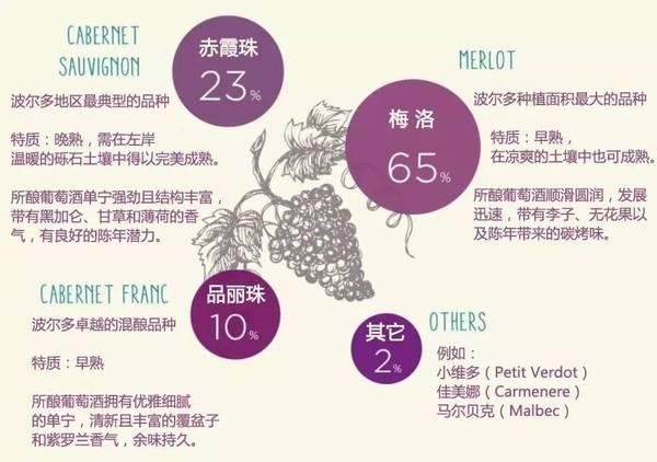 波尔多十大产区，相信我，这是波尔多最好的