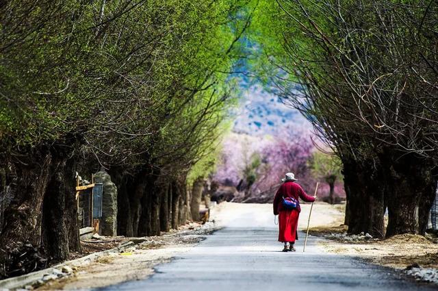 三月最值得去的旅游地方，9大绝美春色旅行地