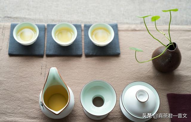 喝黑茶的七大禁忌一个也不能违背，为什么很多人坚决不喝黑茶了