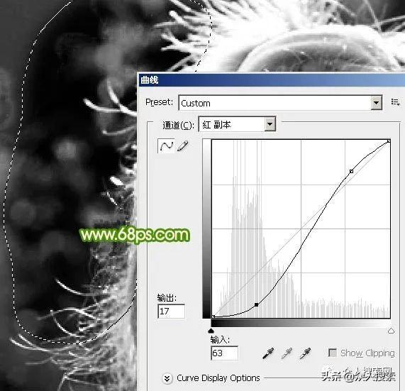 PS通道抠图详细教程，ps怎么使用通道抠图