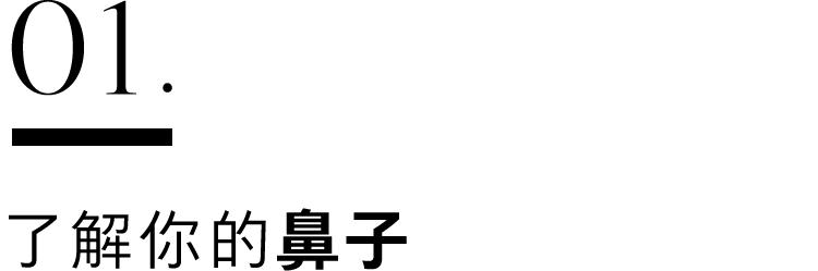 好看的鼻子图片，最漂亮的5种鼻子（不好看的鼻型是颜值的