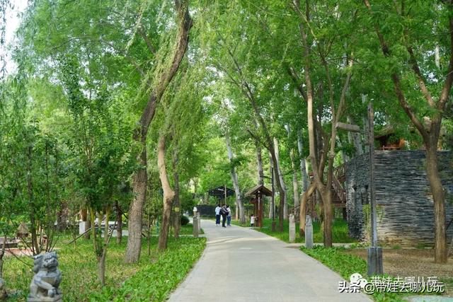 南宫旅游十大必去景点，假日乡村打卡丨夏日来南宫看民族主题花车巡游