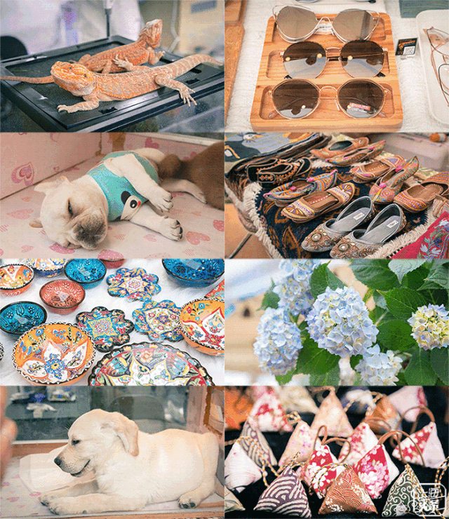 梧州宝石节活动时间表，第十六届梧州宝石节全攻略出炉了